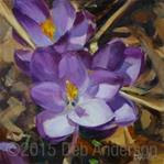 Oil Painting: Crocuses - Posted on Wednesday, April 15, 2015 by Deb Anderson