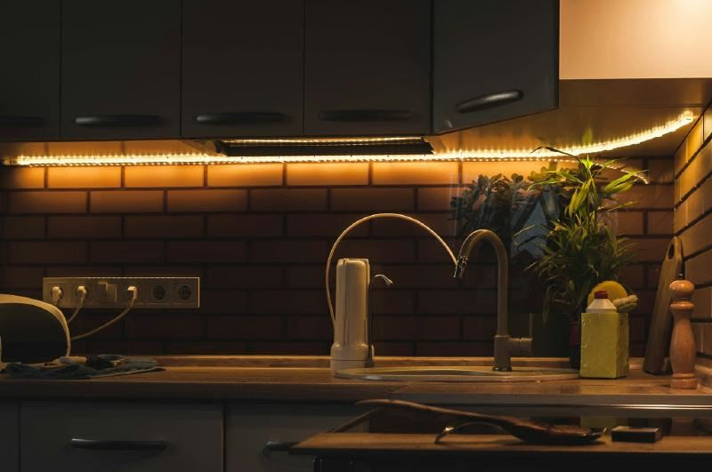 A kitchen counter with a sink and a plant Description automatically generated