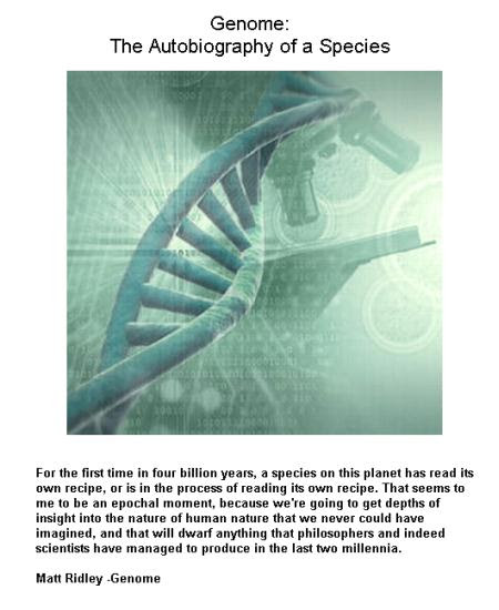 fig-1b-genome-of-the-species