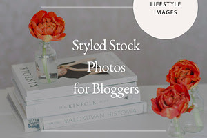 Styled Lifestyle Stock Photo Bundle