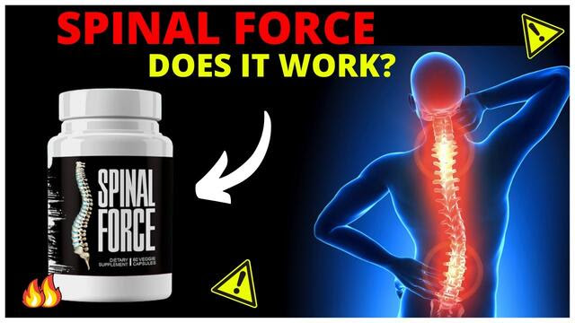 Spinal Force Joint Pain Reviews Uses Benefits Price - Weight Loss Service  In DLF City Phase I Gurgaon - Click.in