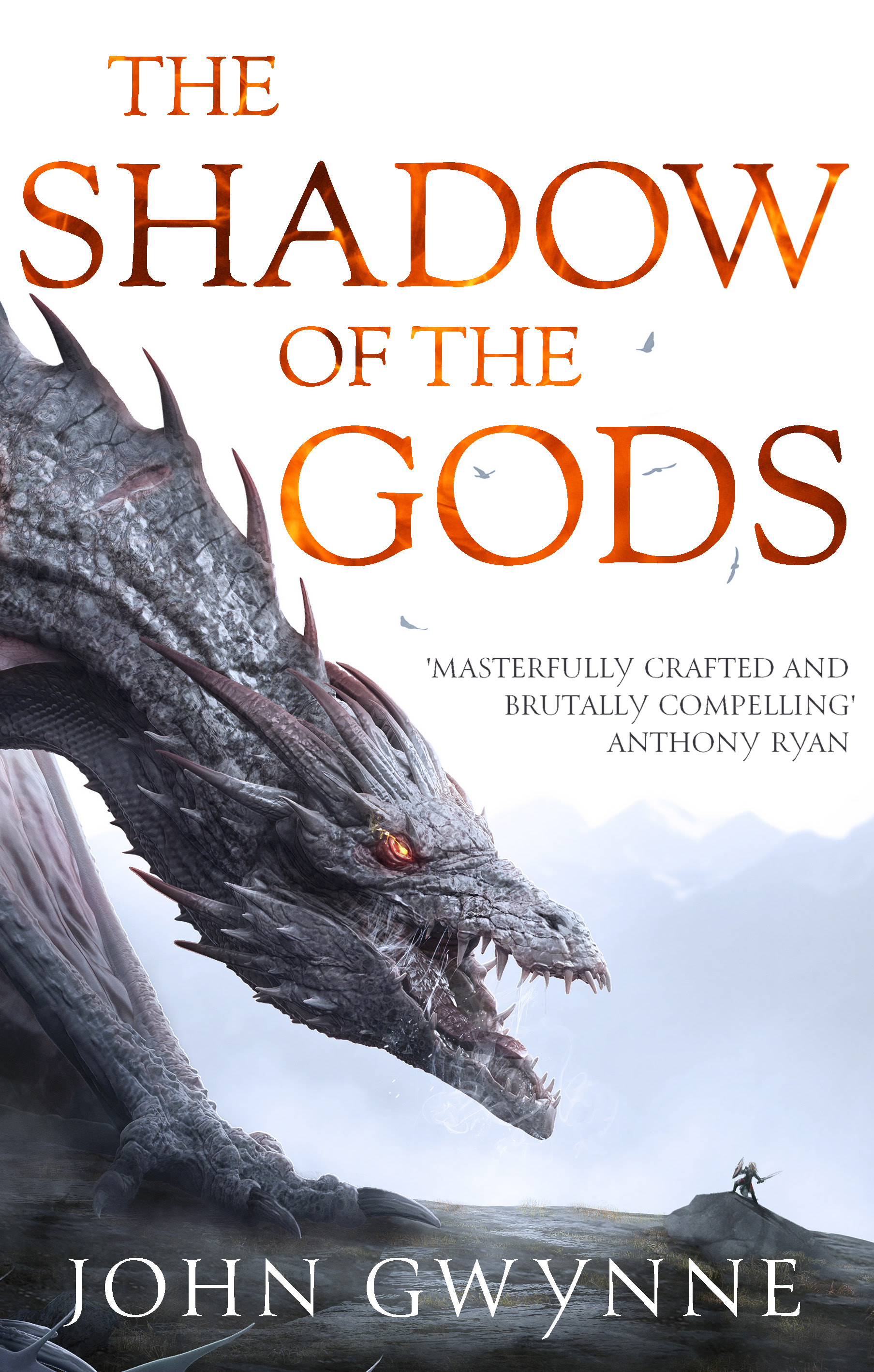 Старые боги книга. Джон Гвинн. The Shadow of the Gods John Gwynne. Shadow God. God of War книга.