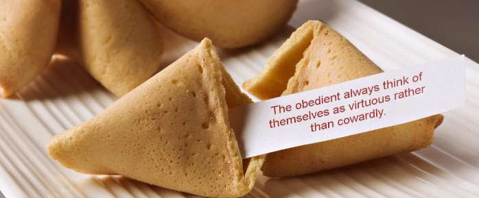photo of fortune cookies