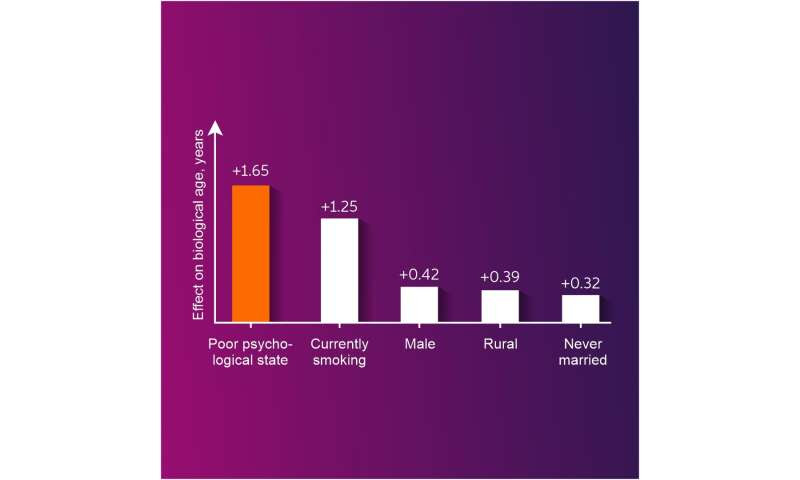 Being lonely and unhappy accelerates aging more than smoking