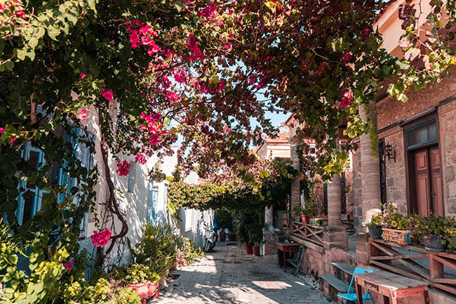 Street in Corfu Greece with flowers