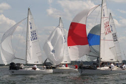 J/24s sailing with spinnakers
