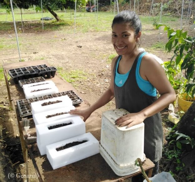 Una mujer colocando abono en contenedores (© Geoazul)