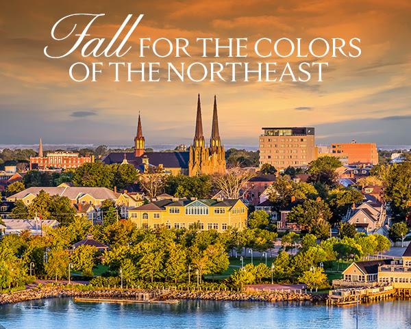 Fall FOR THE COLORS OF THE NORTHEAST