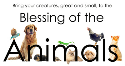 Blessing of Animals on 10/4 - SFX