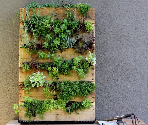 Turn a Small Space Into a Big Harvest  Pallet-tray