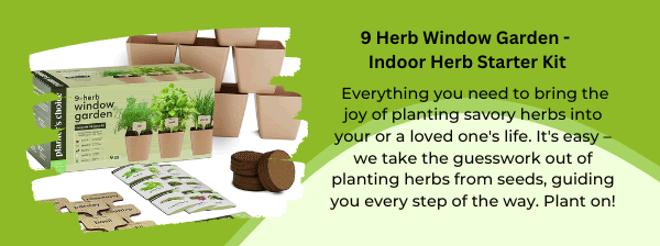 9 herb window garden