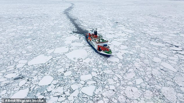 Concerning: Sea ice in much of the Arctic may be thinning twice as fast as previously thought, scientists fear. The research vessel Polarstern is pictured drifting in Arctic sea ice