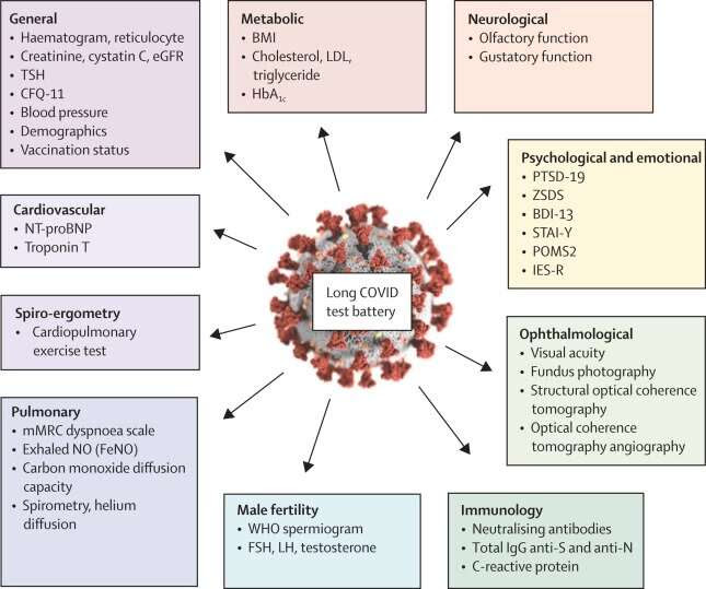 Having high cholesterol and reduced physical stamina and being overweight are long COVID sequelae in young adults