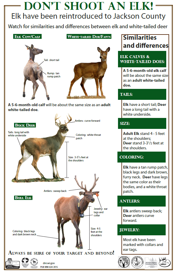 Don't shoot an elk infographic
