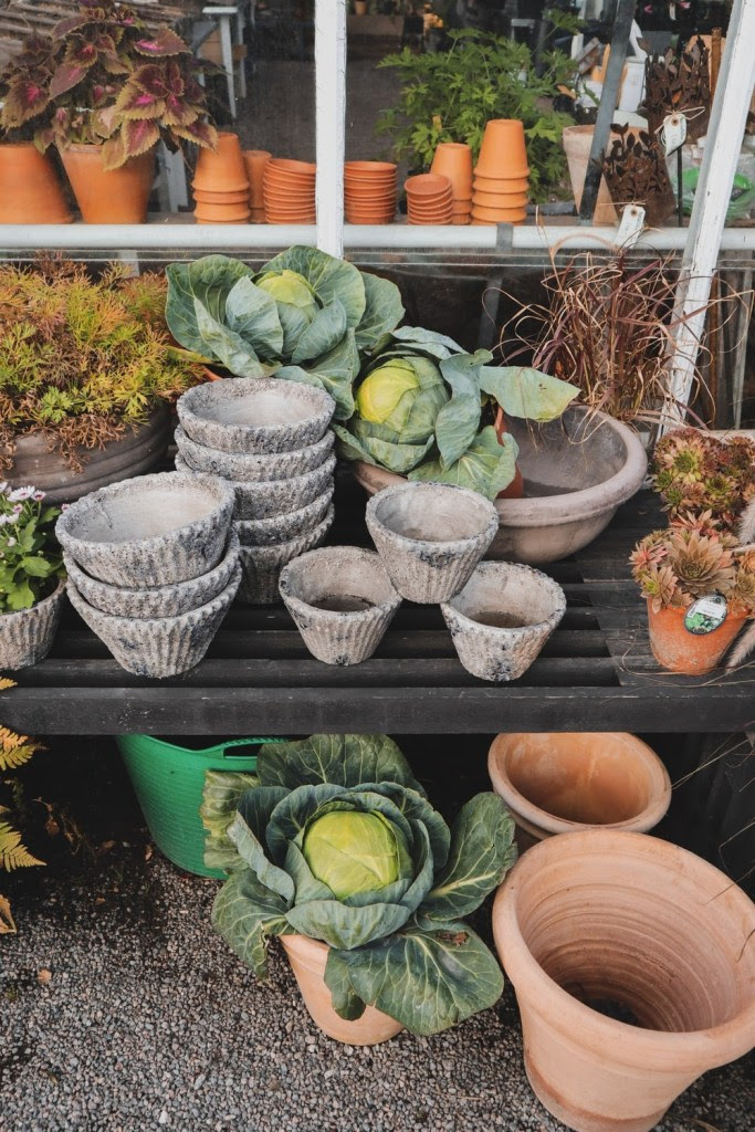 Choosing your pot for vegetable planting