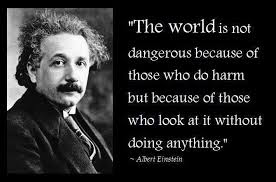 Image result for albert einstein on genius