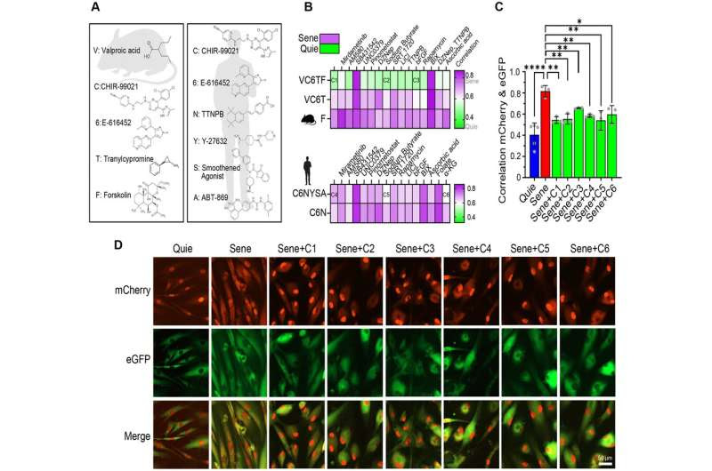 Discovery of chemical means to reverse aging and restore cellular function