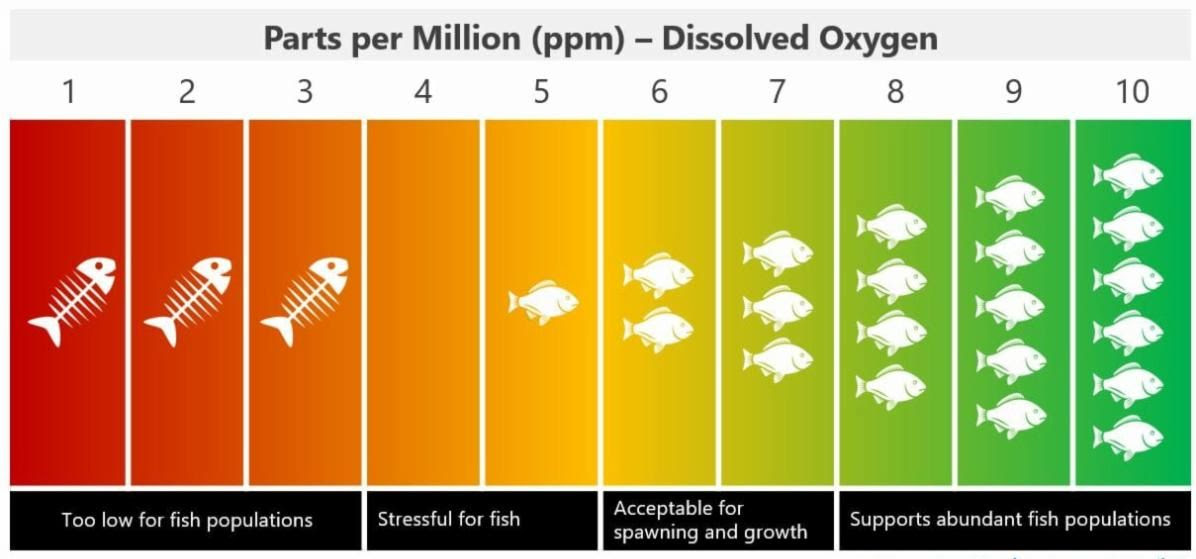 Fish viability at different oxygen levels