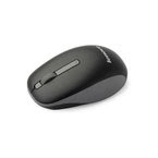 Lenovo Wireless Mouse N100 (Black) 