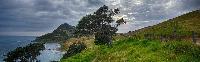NZ Environment Public Domain