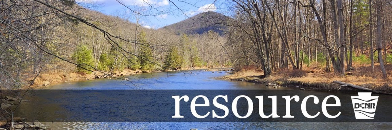 A wide, calm creek flows past a forest in early spring. Rolling mountains rise in the background. Text: resource DCNR