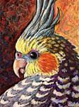 Cockatiel Portrait - Posted on Tuesday, January 20, 2015 by Ande Hall