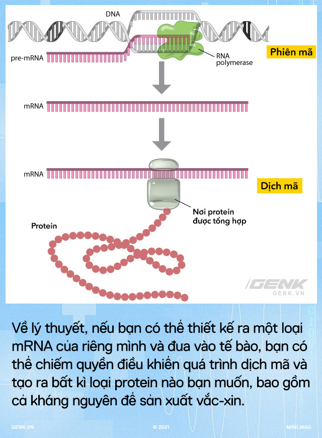 Đầu tư R&D 10 năm không có lãi, Moderna một bước thành công ty trăm tỷ đô nhờ vắc-xin COVID-19: Bước tiếp theo sẽ là vắc-xin ung thư và HIV/AIDS - Ảnh 6.