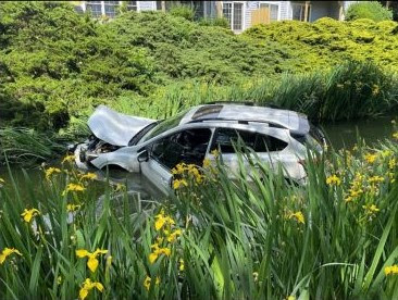 wrecked white car partially submerged in water in a swampy area