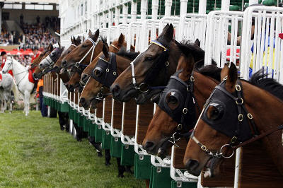 At the starting gate