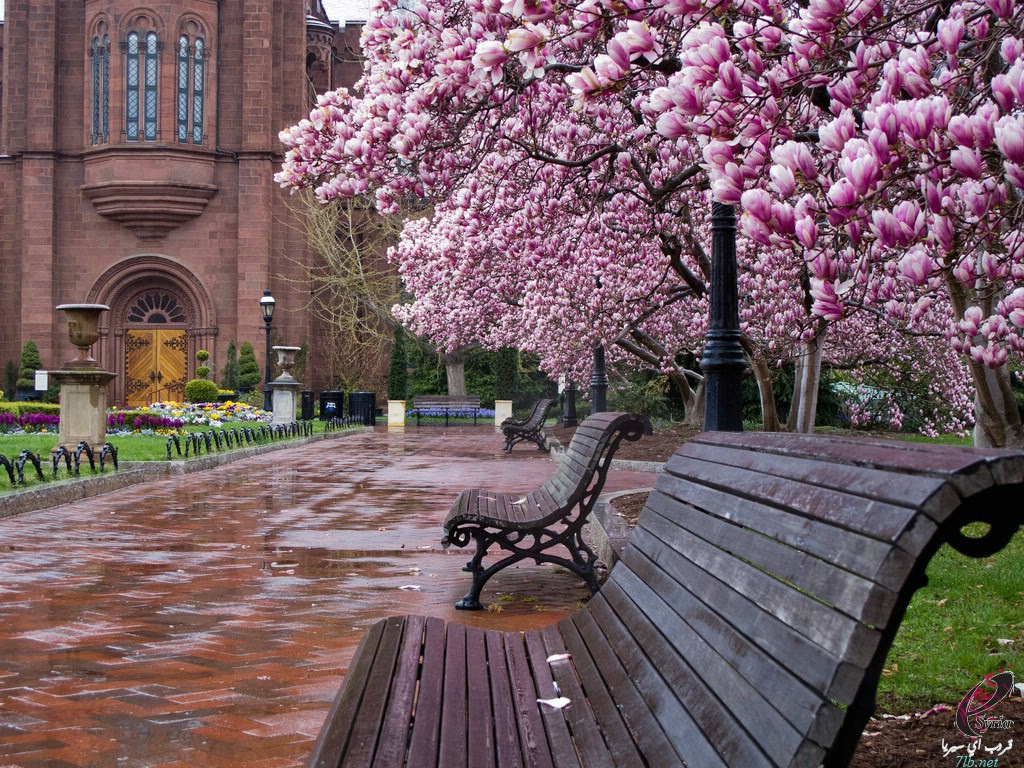 منوعة
                وطريفة الجزء الثاني 