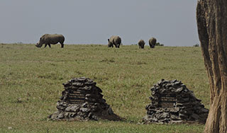 Ol Pejeta Conservancy