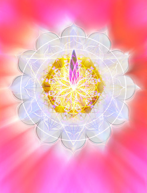 Fleur de conscience de compassion: Flower of Compassionate Awareness