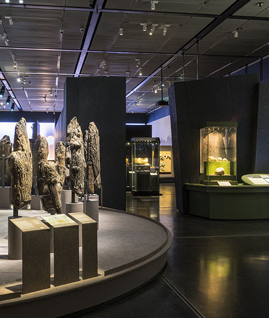 Inside 'The world of Stonehenge' showing Seahenge on display