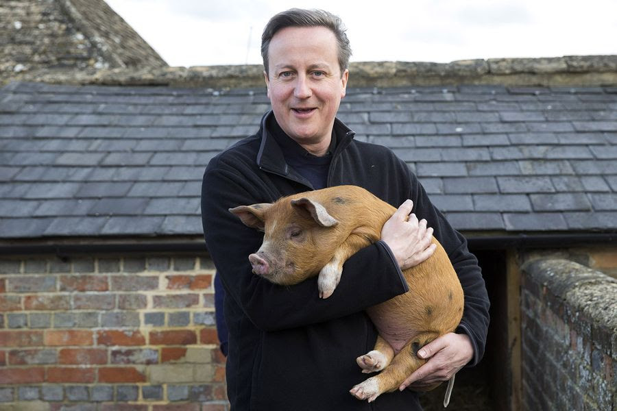 piggate rumors