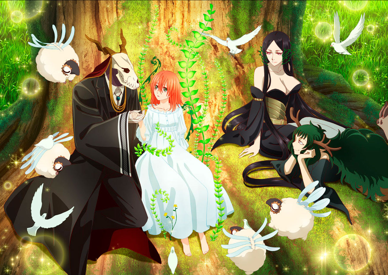 SelectaVisión abre sus reservas para la serie "Mahō Tsukai no Yome" (The Ancient Magus Bride). SelectaVisión abre sus reservas para la serie "Mahō Tsukai no Yome" (The Ancient Magus Bride).