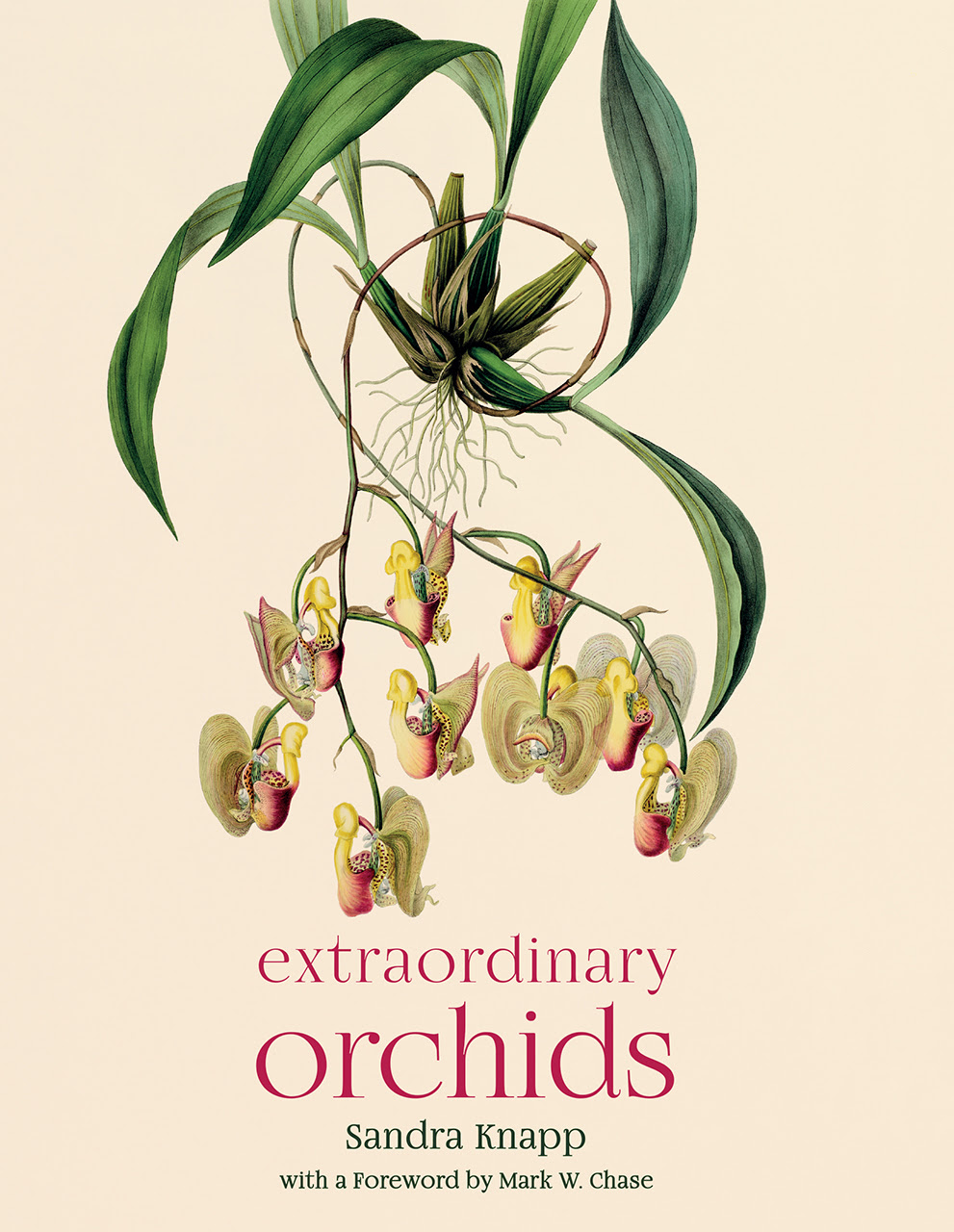 Extraordinary Orchids in Kindle/PDF/EPUB