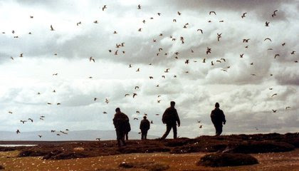 A Brief History of the Falklands War