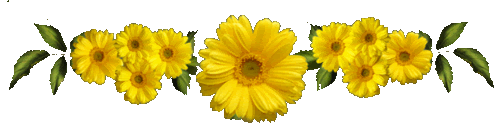 mZUcH9gwRIBZzwwxjcjKvRFAyEVP76adYSD2sL1fMx030mwc4BQ1Ms4DTz2rOn_7.gif