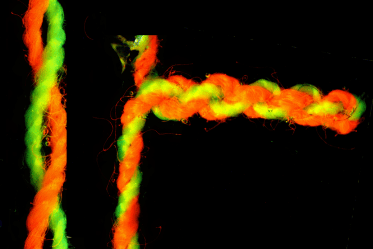 An example of supercoiling in the artificial muscles (right), compared to the looser twist (left)