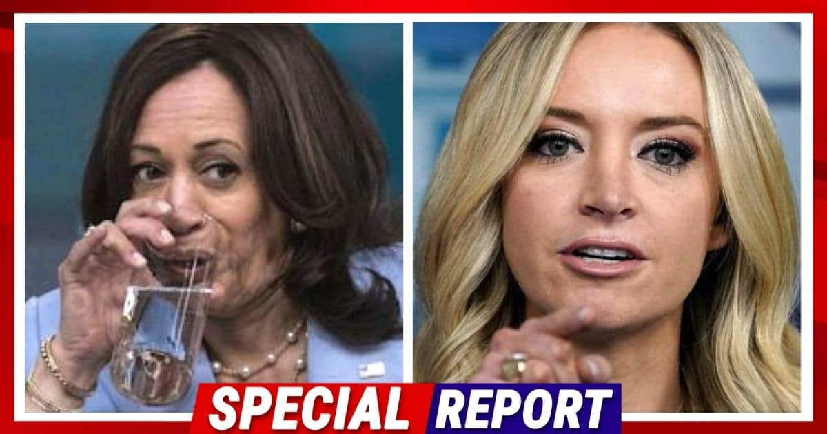 Kayleigh McEnany Goes Scorched Earth on Kamala - Delivers The Single Best Insult Of 2022