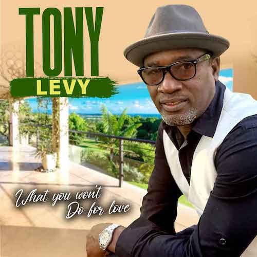 Cover: Tony Levy - What You Won't Do For Love