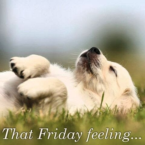 Friday-dog-feeling