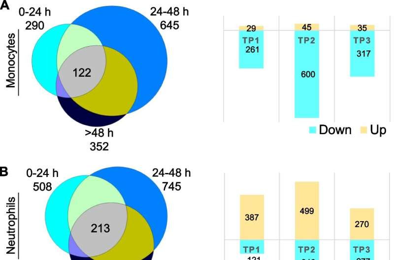 Researchers identify genes that can improve stroke diagnosis and treatment