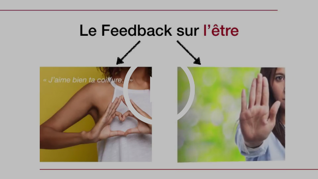 Le Feedback | Virginie Tesson