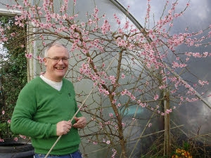 Gerry Kelly - my co-host on our 'Tunnel to Table' radio series on LMFM Radio's  'Late Lunch Show' - helping to pollinate the peach trees 2 years ago.