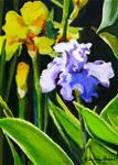 Iris - Posted on Tuesday, March 17, 2015 by Joanne Perez Robinson