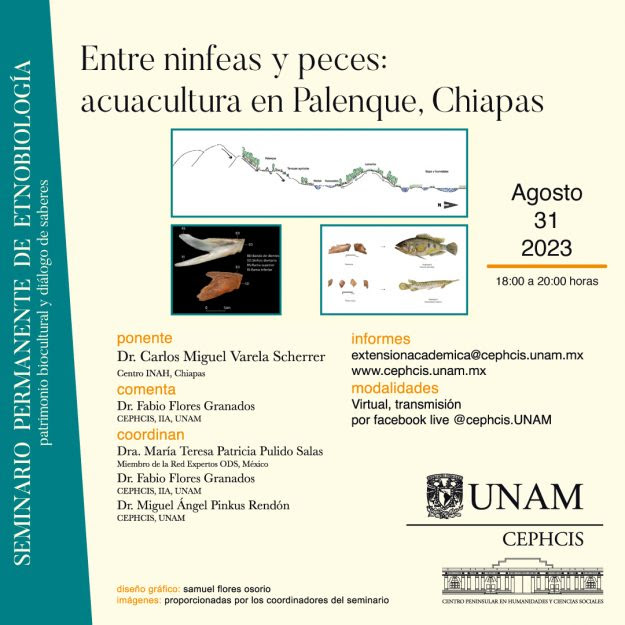 Entre ninfeas y peces: acuacultura en Palenque, Chiapas
