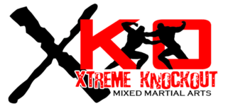 Xkologo no background white outline copy