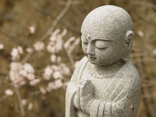 Buddha and Spring Blossoms