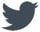 Twitter_logo